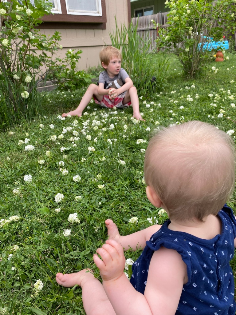 Toddler and baby sitting in lush green grass during spring, with flowers strewn about from the nearby bushes. (Cramp bushes, they produce beautiful white flowers that form a big ball. My son pulled the flowers off and threw them on the grass, made for a lovely photo shoot.)